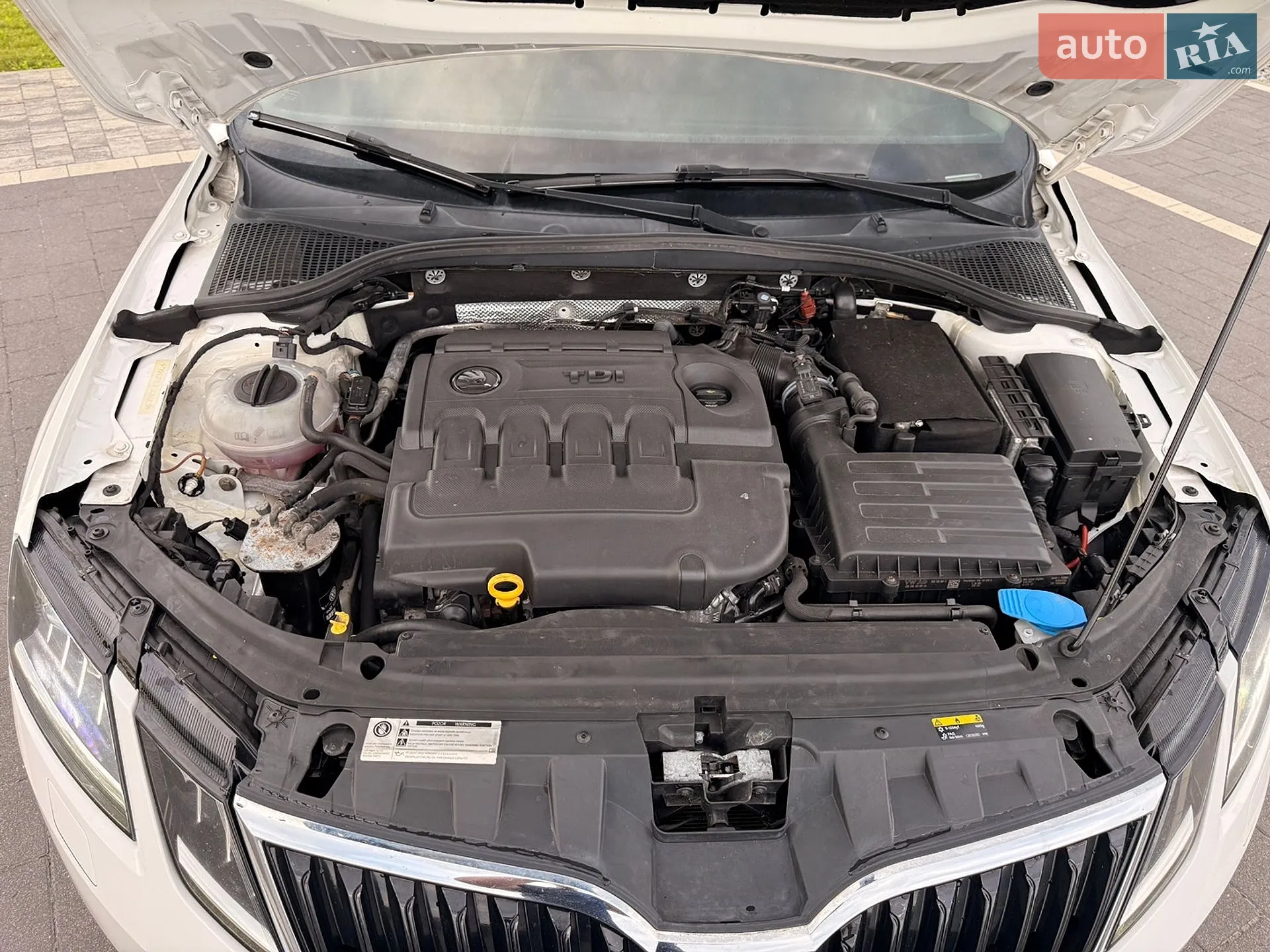 2017 Skoda Octavia - мініатюра 53