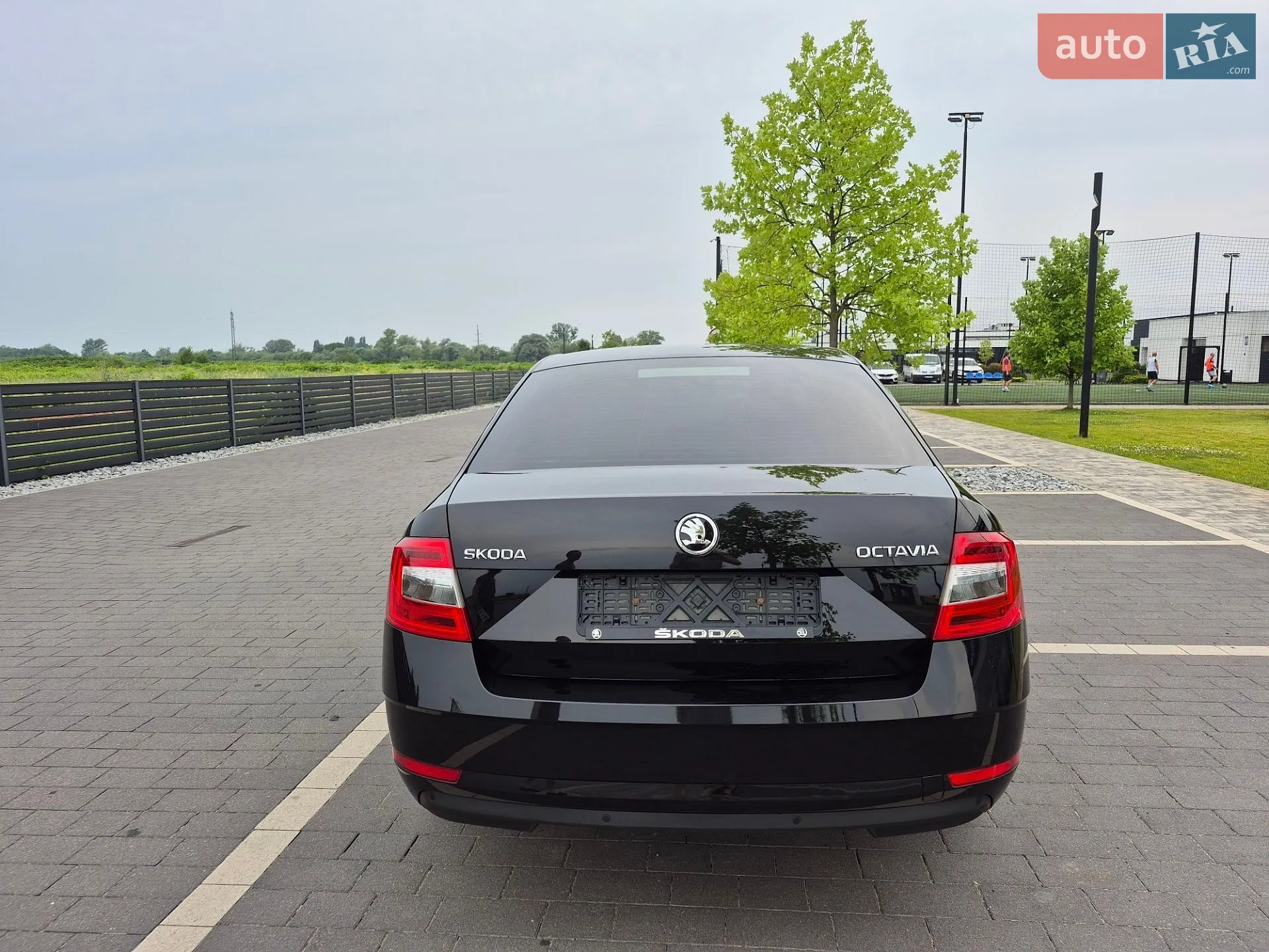 2017 Skoda Octavia - мініатюра 3