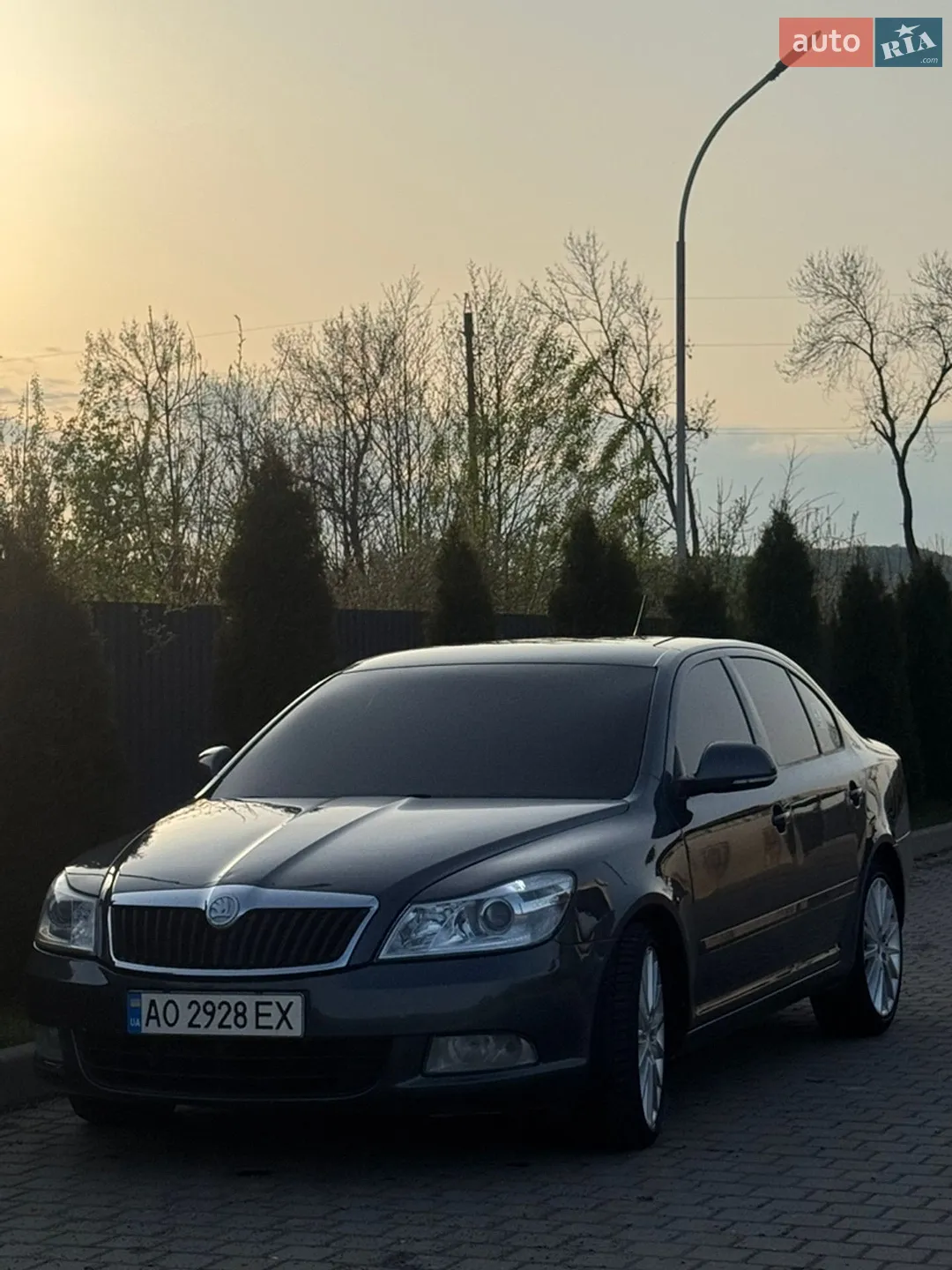 2010 Skoda Octavia - мініатюра 5