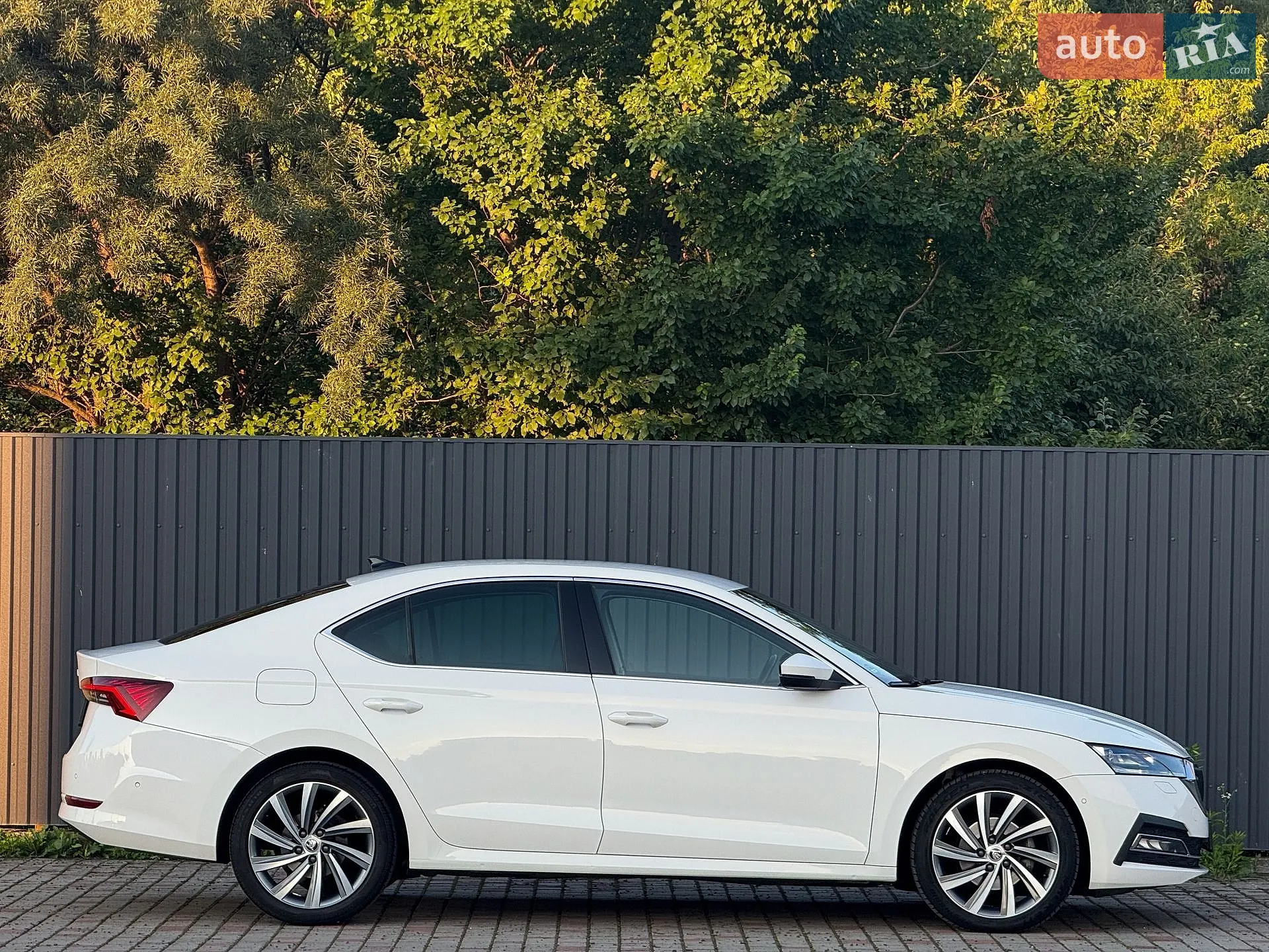 2020 Skoda Octavia - мініатюра 3