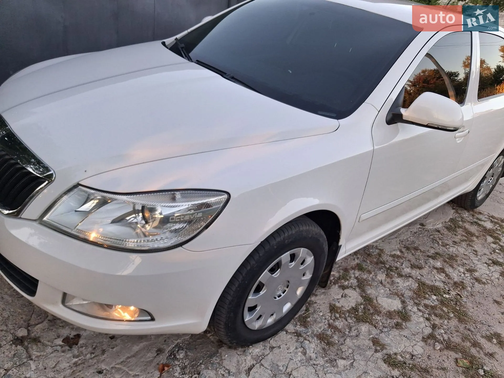 2012 Skoda Octavia - мініатюра 9