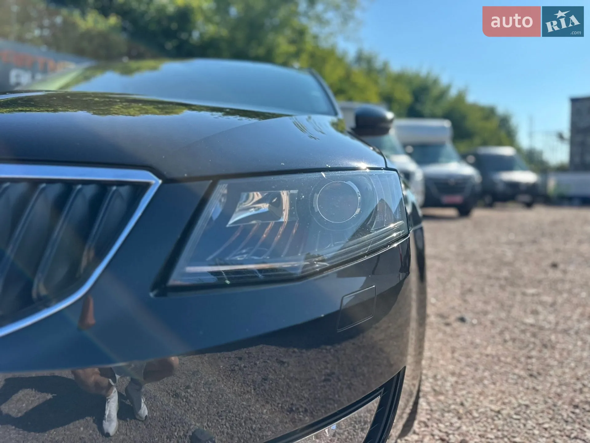2013 Skoda Octavia - мініатюра 4