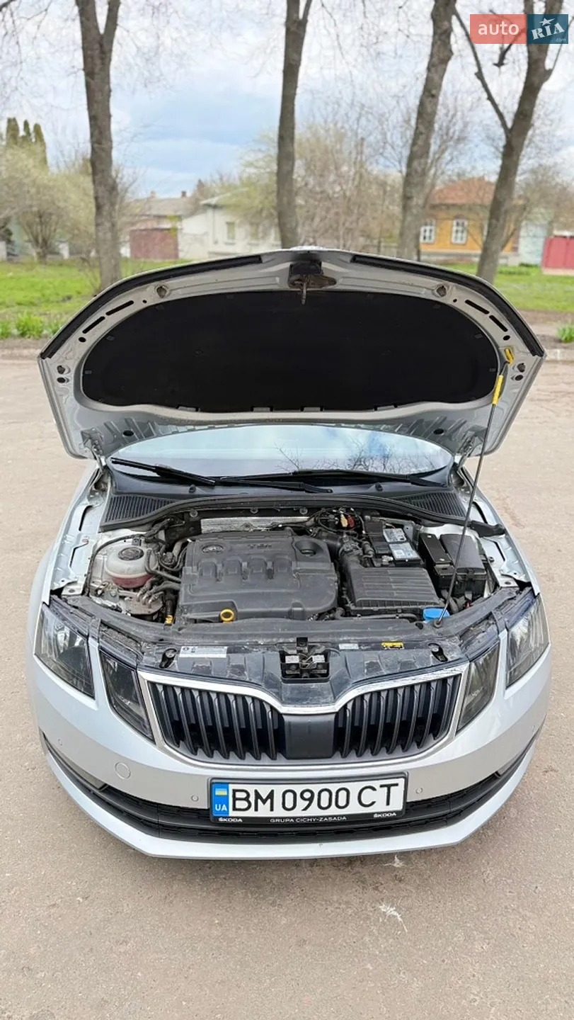 2018 Skoda Octavia - мініатюра 22