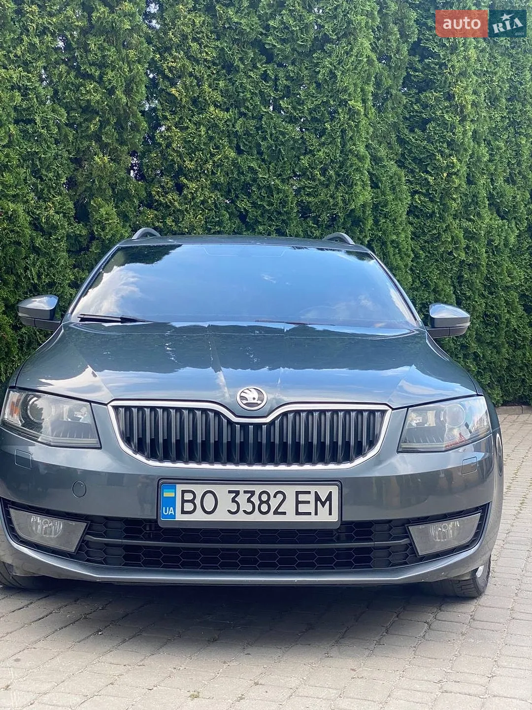 2016 Skoda Octavia - мініатюра 11