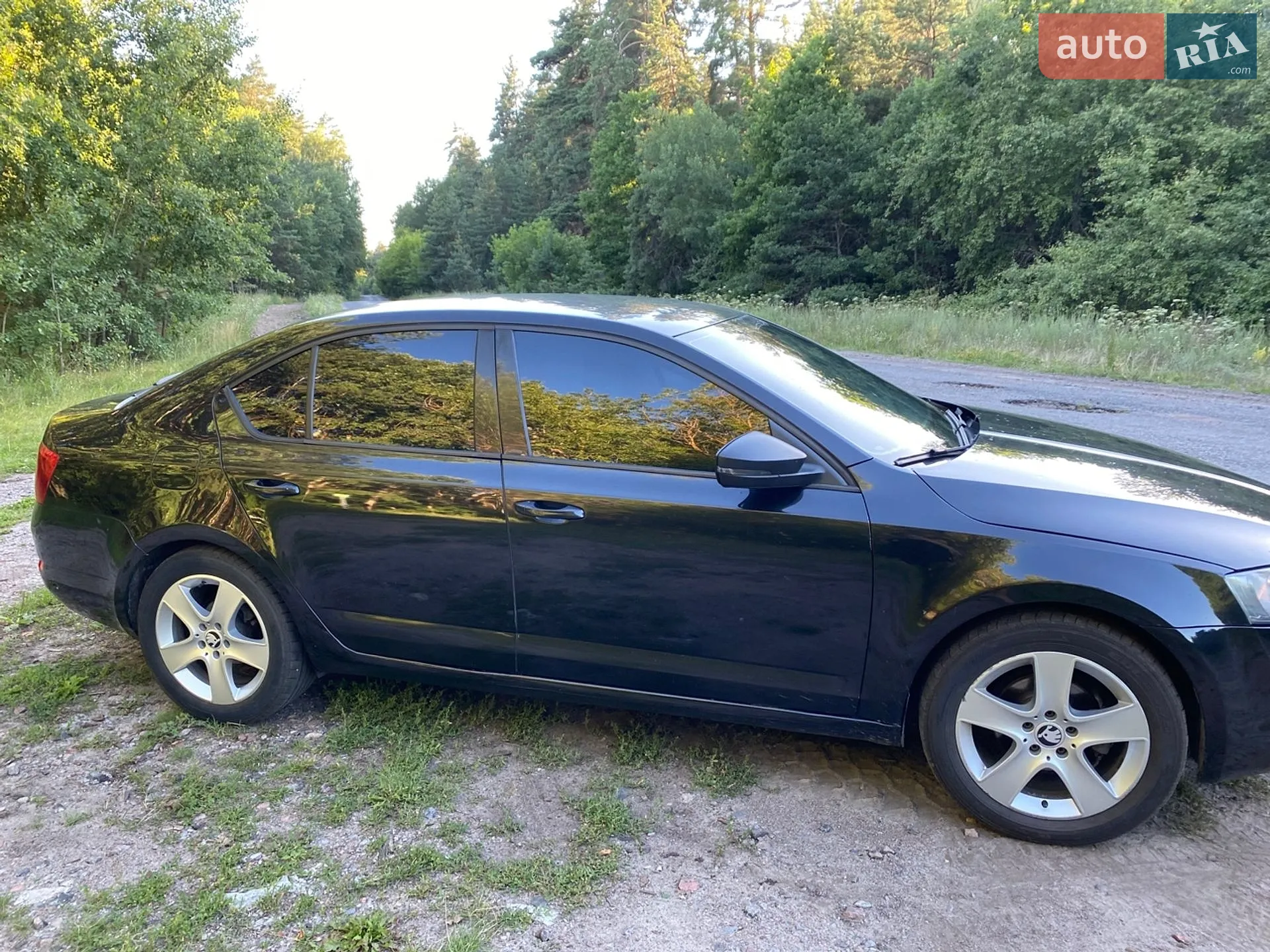 2015 Skoda Octavia - мініатюра 3