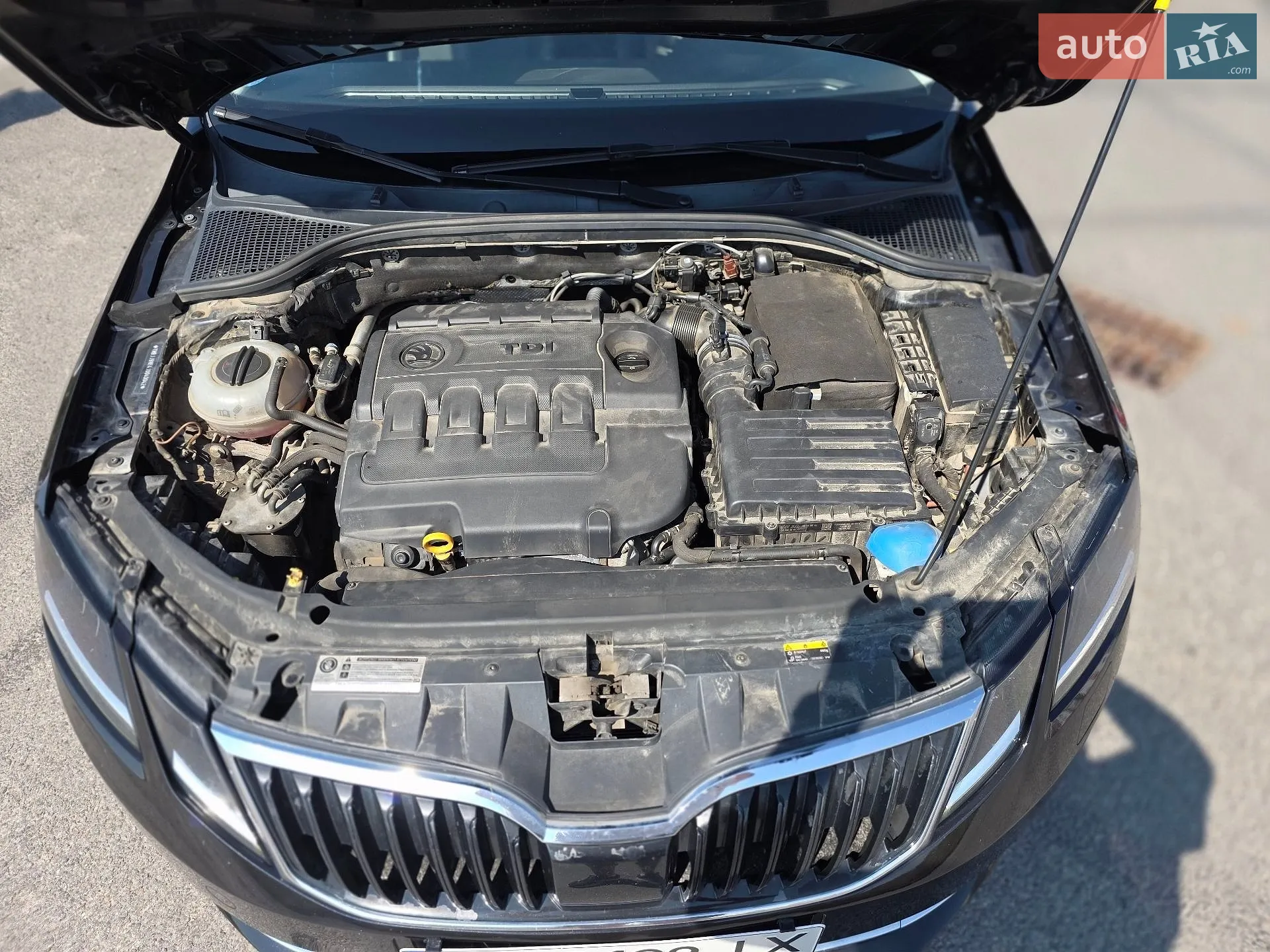 2017 Skoda Octavia - мініатюра 26
