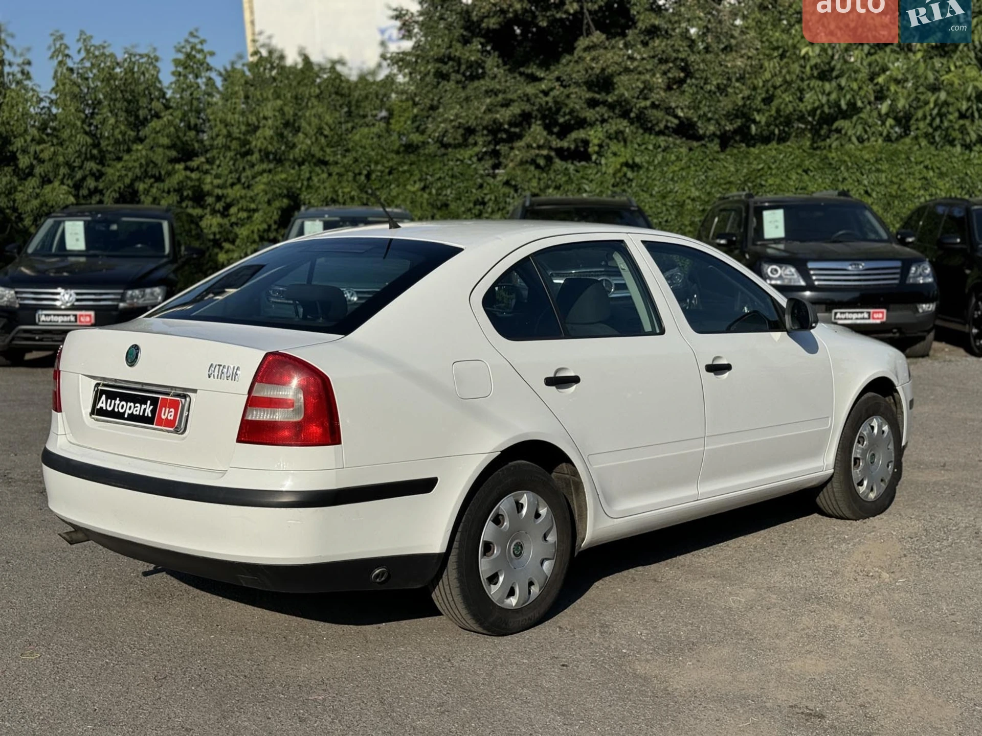 2011 Skoda Octavia - мініатюра 6