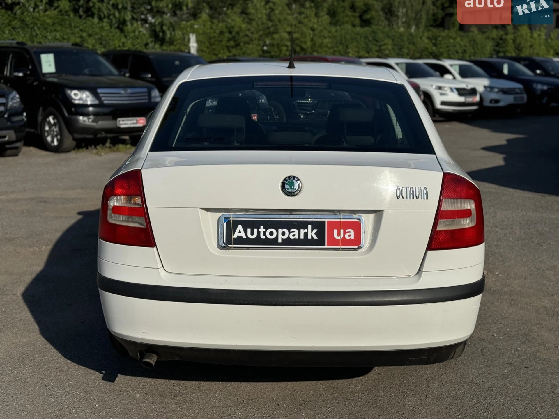 2011 Skoda Octavia - мініатюра 7