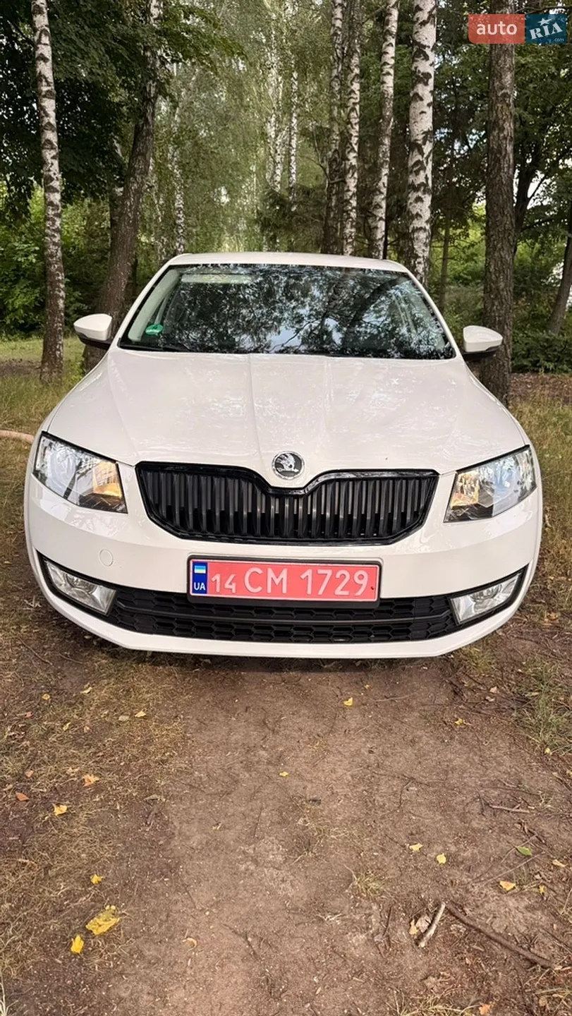 2017 Skoda Octavia - мініатюра 17