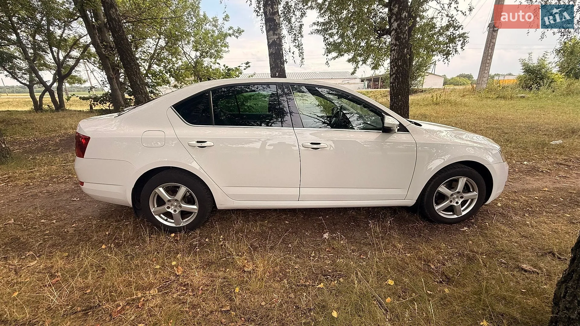 2017 Skoda Octavia - мініатюра 7