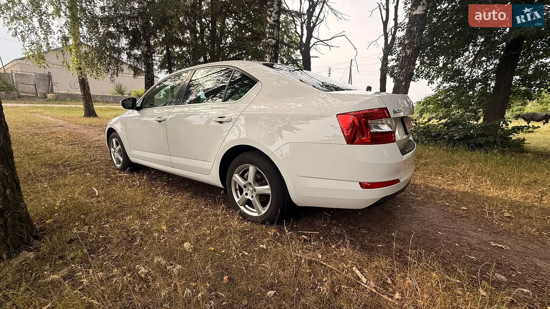 2017 Skoda Octavia - мініатюра 8