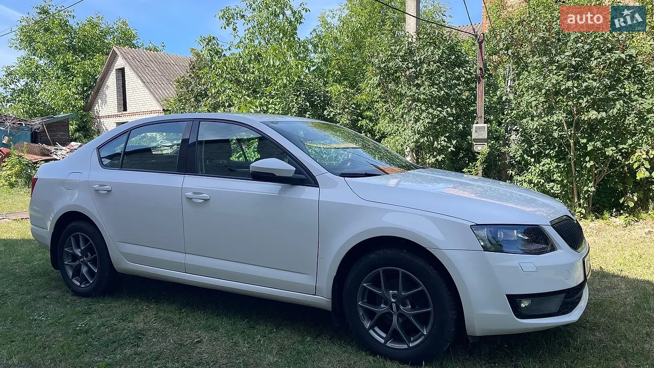 2018 Skoda Octavia - мініатюра 12