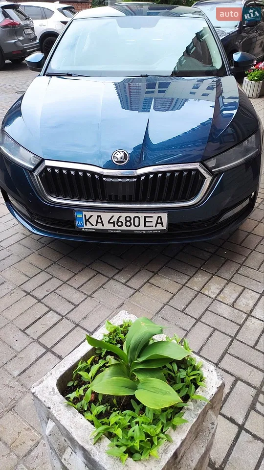 2019 Skoda Octavia - мініатюра 25