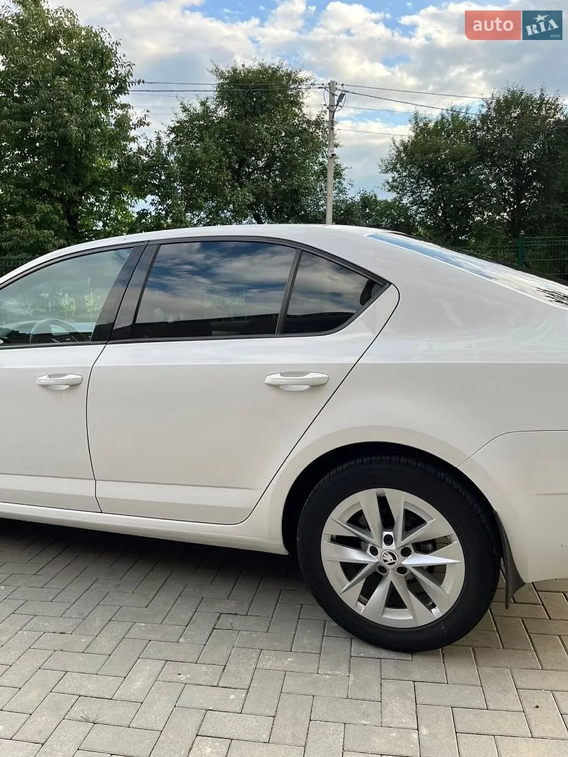 2018 Skoda Octavia - мініатюра 11