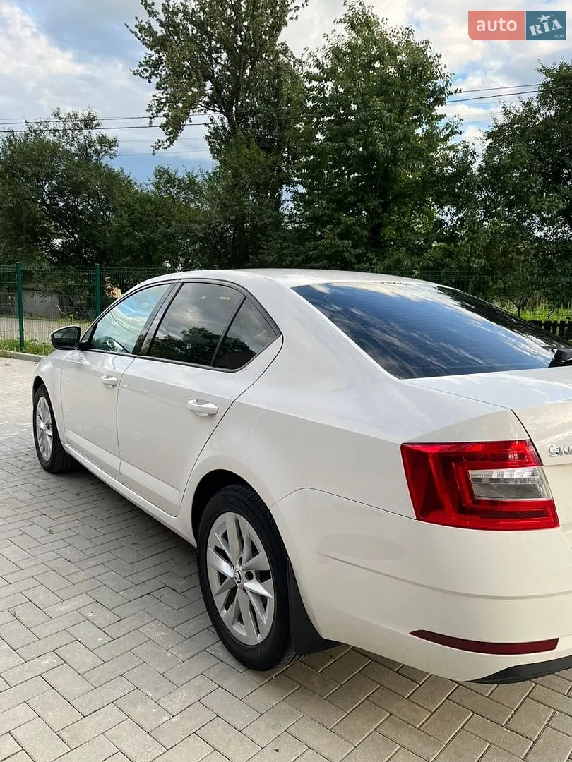 2018 Skoda Octavia - мініатюра 15