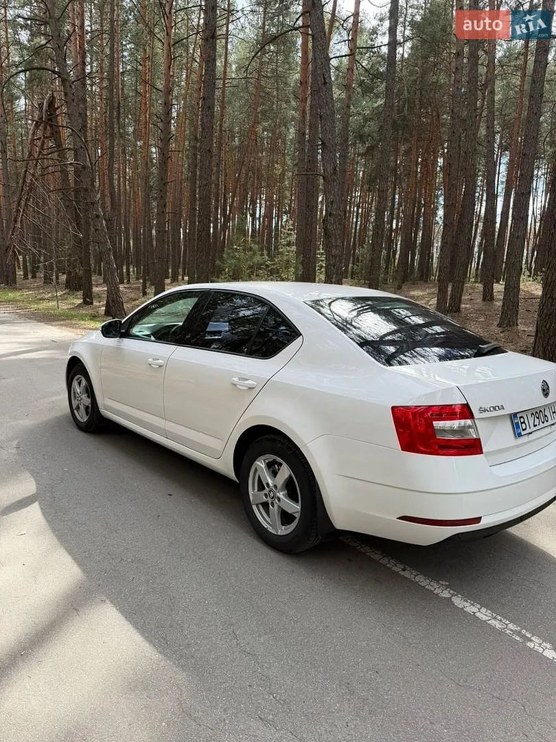 2019 Skoda Octavia - мініатюра 6