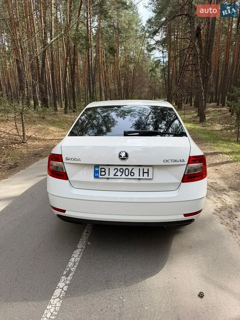 2019 Skoda Octavia - мініатюра 7
