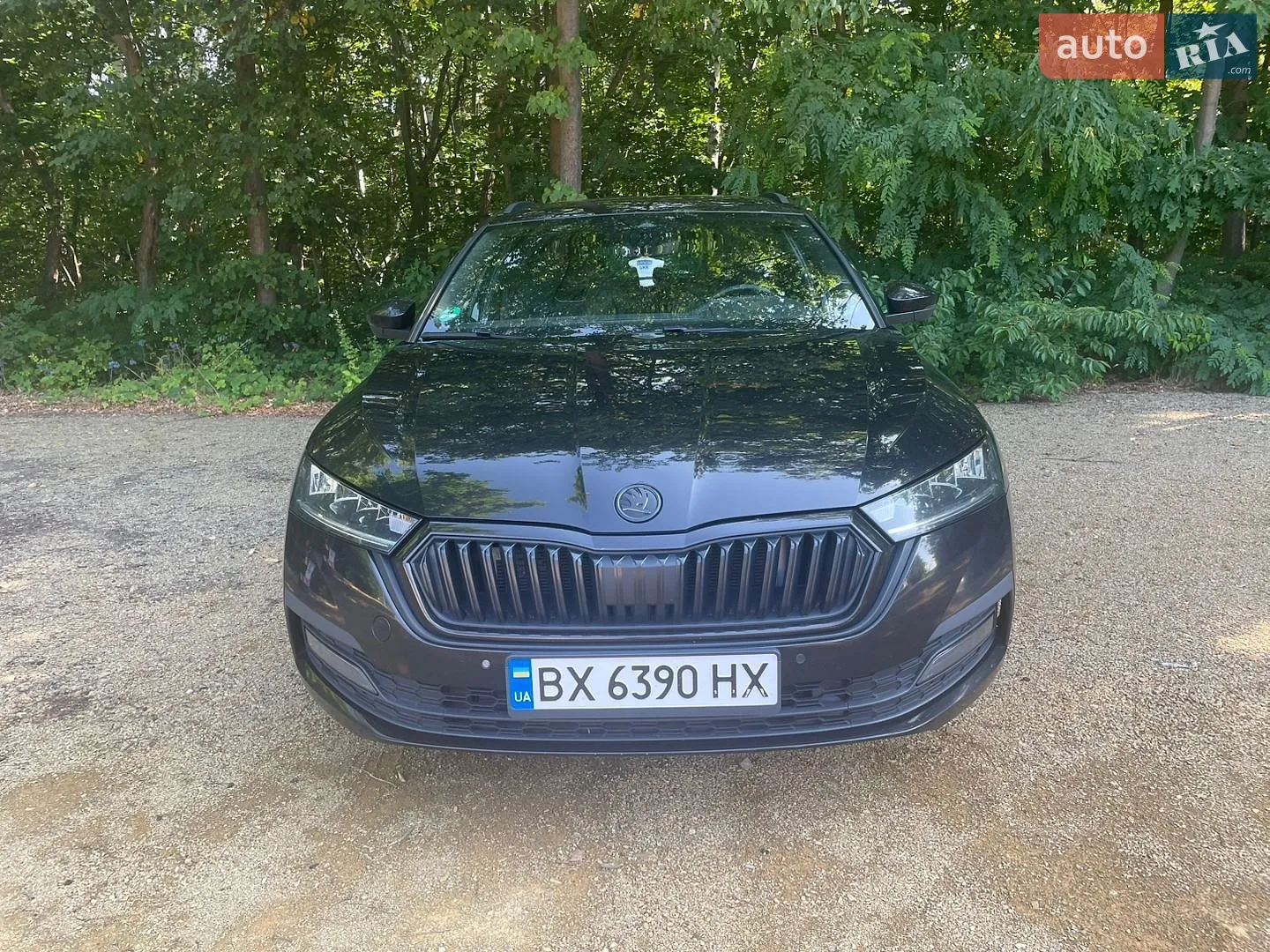 2021 Skoda Octavia - мініатюра 17