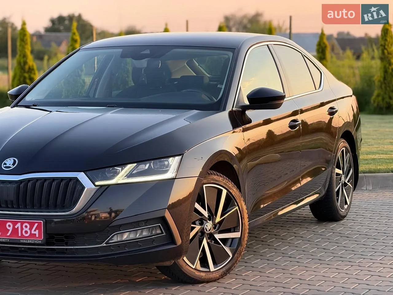 2021 Skoda Octavia - мініатюра 12