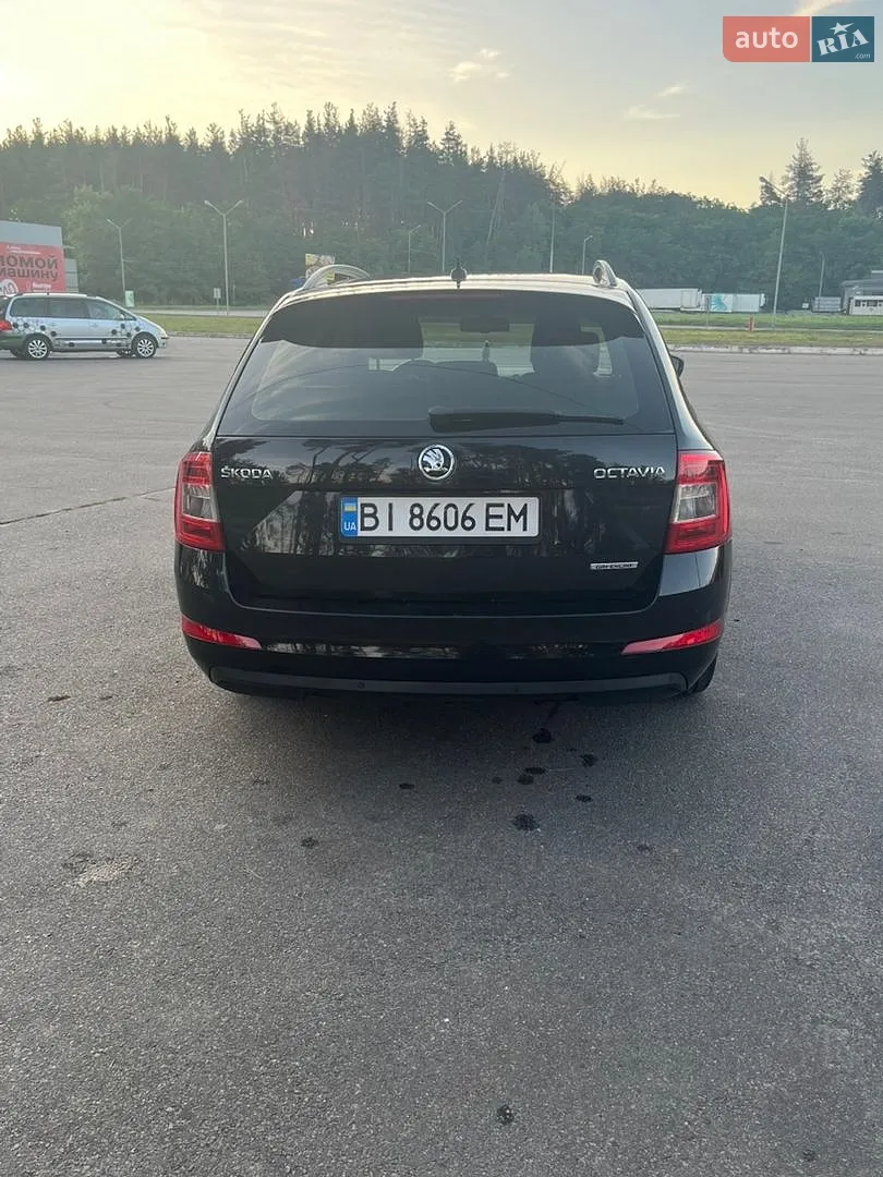 2016 Skoda Octavia - мініатюра 11