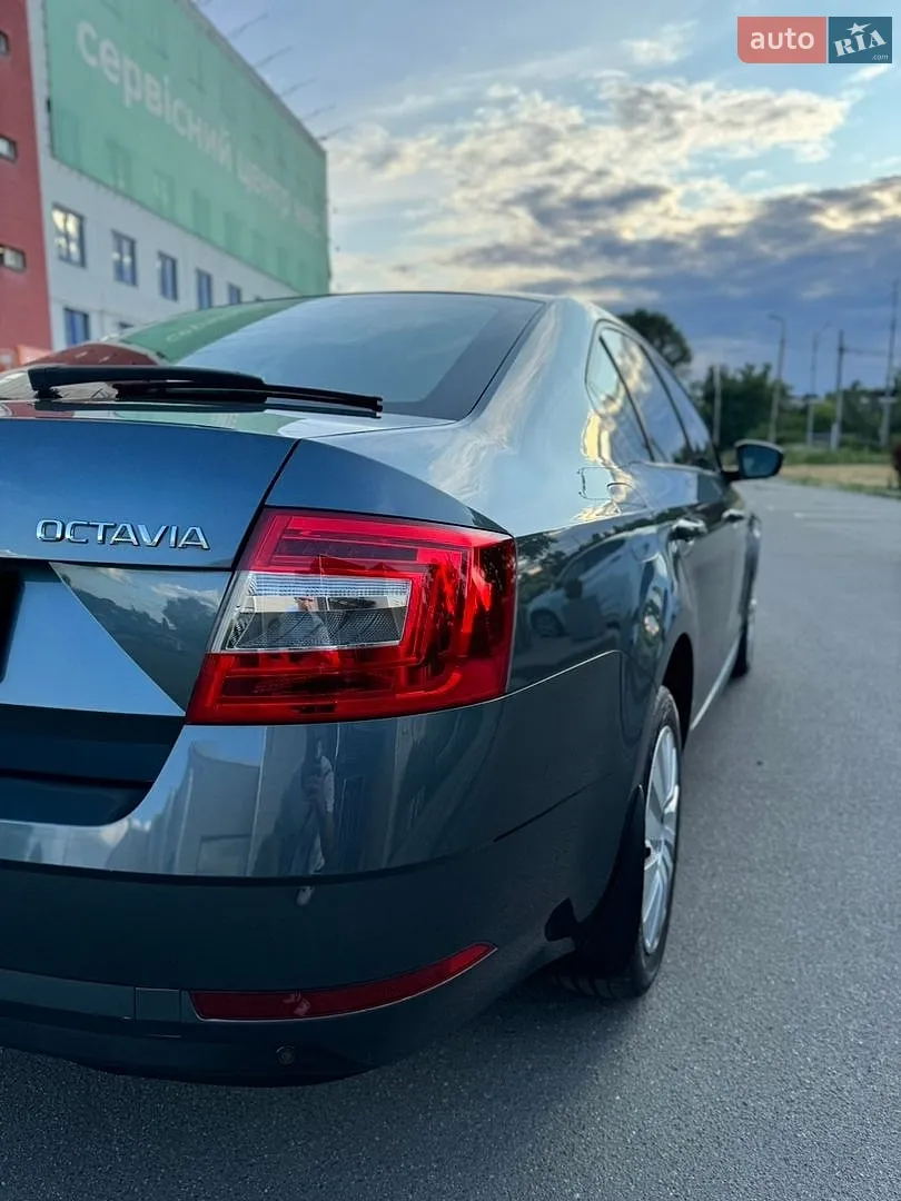 2018 Skoda Octavia - мініатюра 5