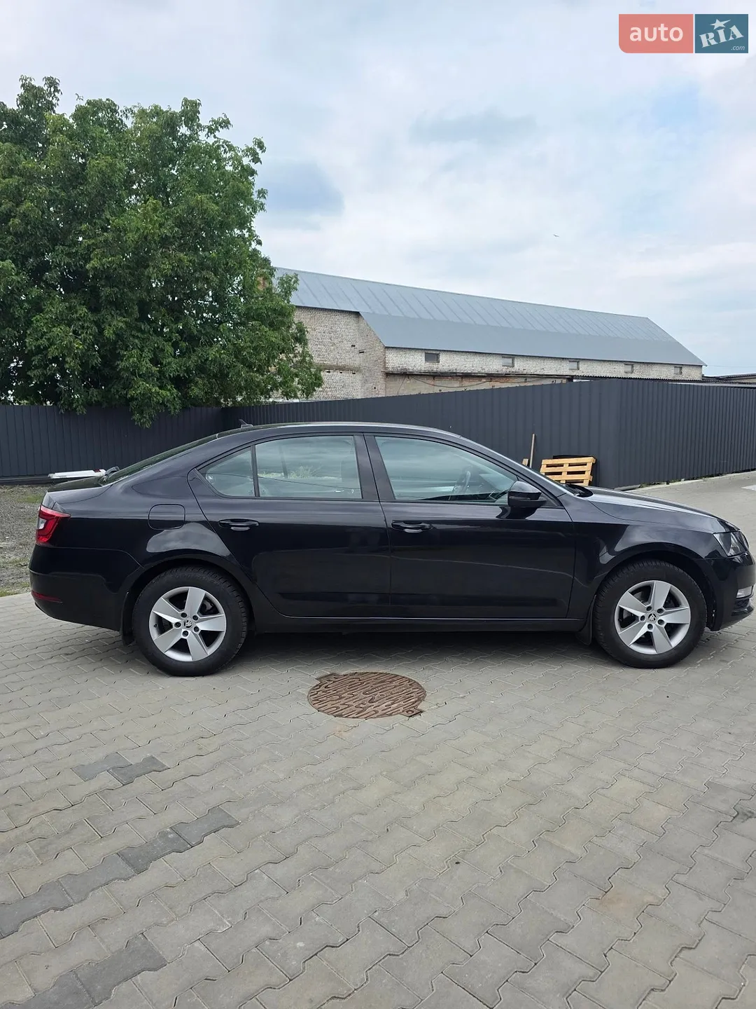 2018 Skoda Octavia - мініатюра 5