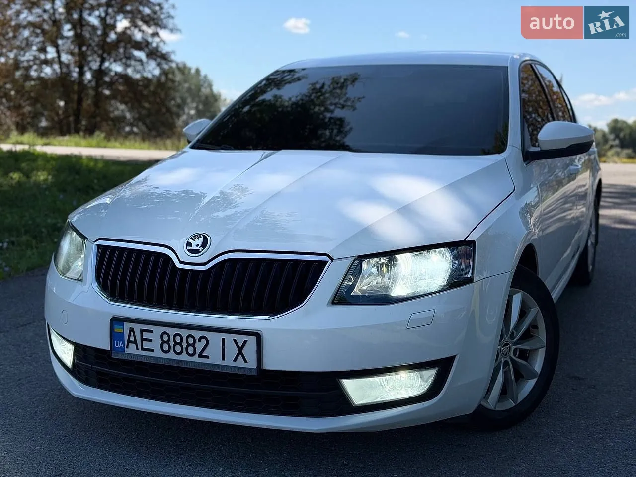 2013 Skoda Octavia - мініатюра 2
