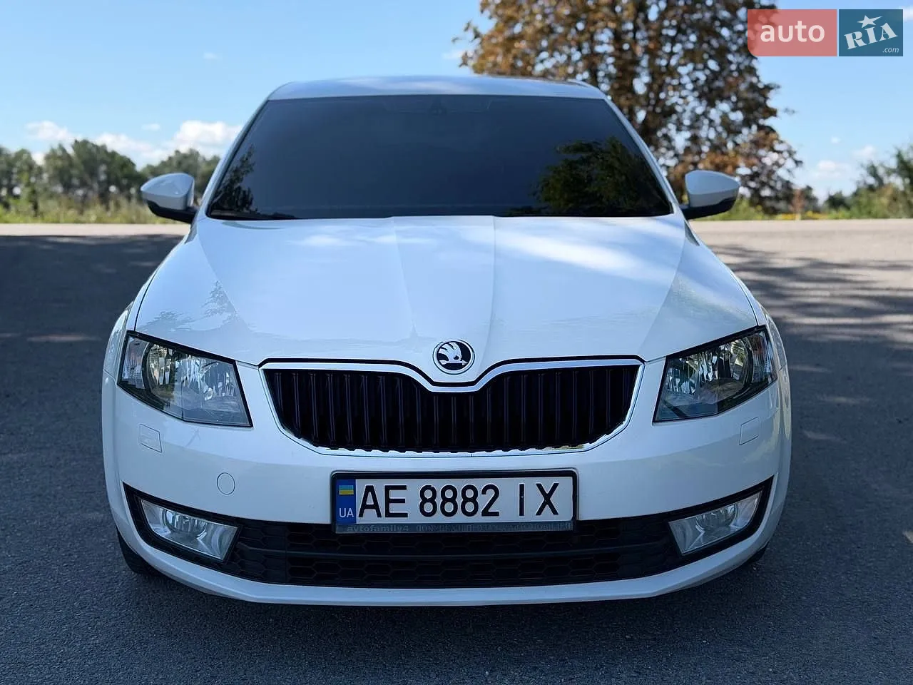 2013 Skoda Octavia - мініатюра 6