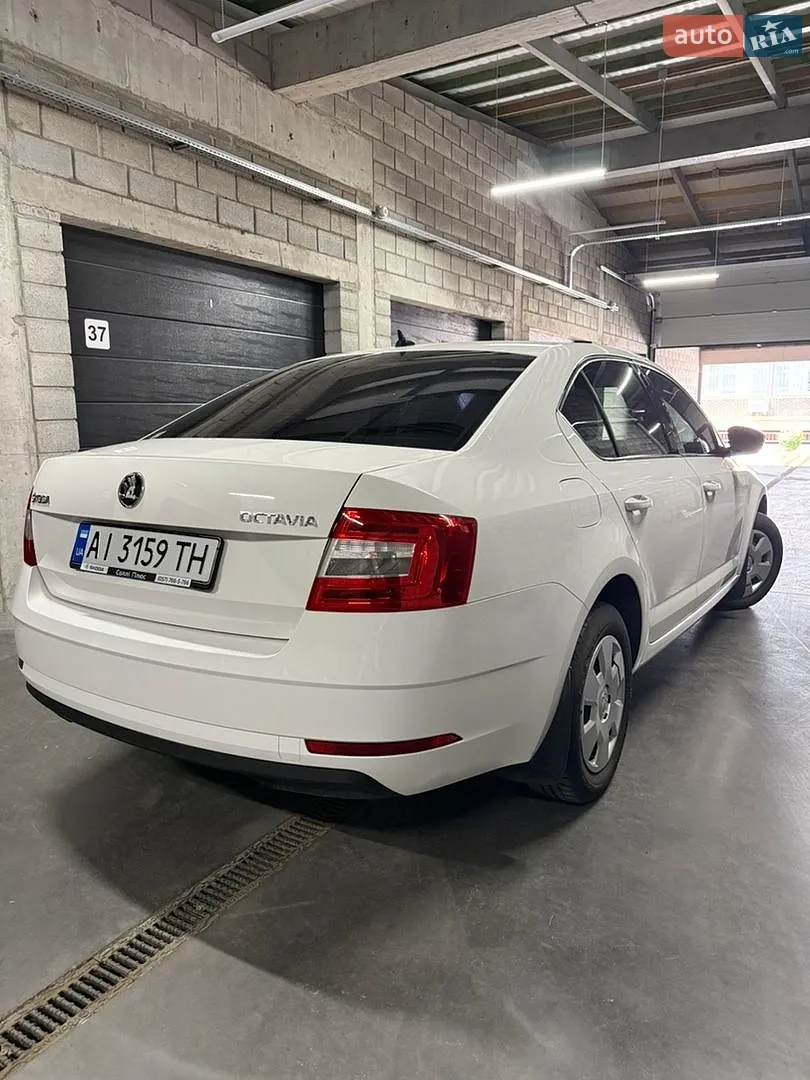 2019 Skoda Octavia - мініатюра 4