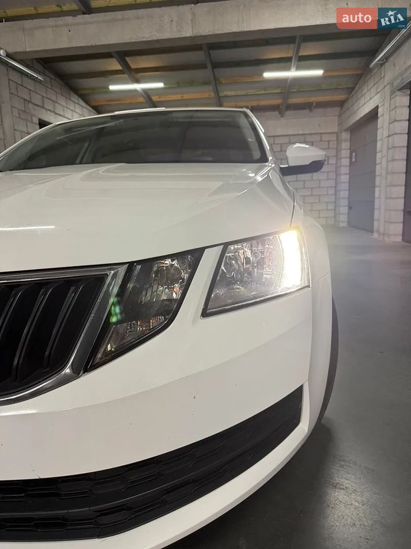 2019 Skoda Octavia - мініатюра 23