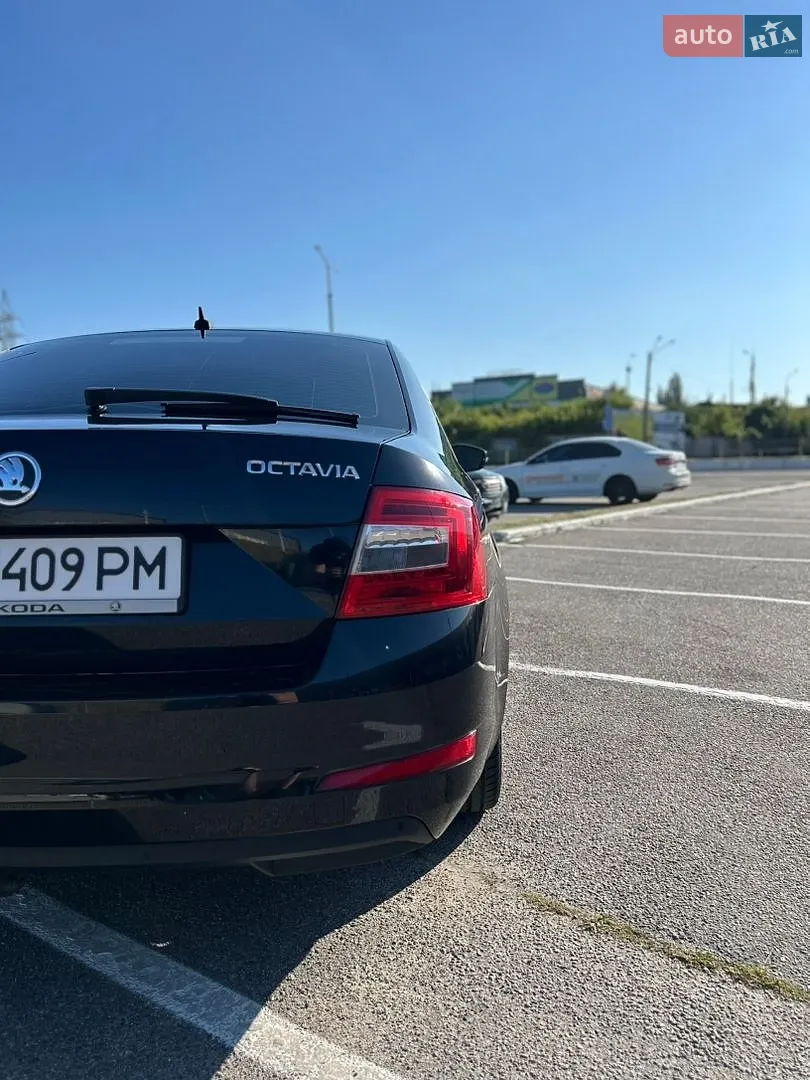 2013 Skoda Octavia - мініатюра 7