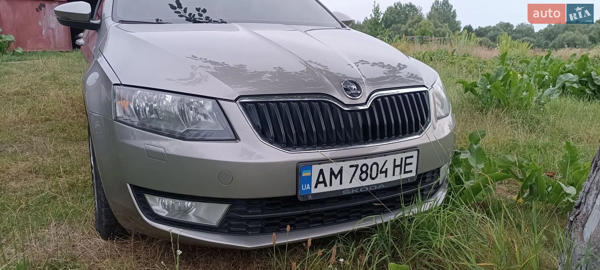 2014 Skoda Octavia - фото 1