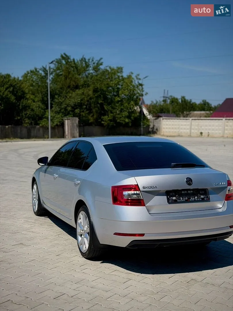 2017 Skoda Octavia - мініатюра 10