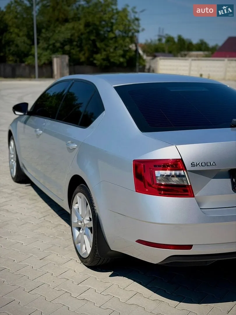 2017 Skoda Octavia - мініатюра 12