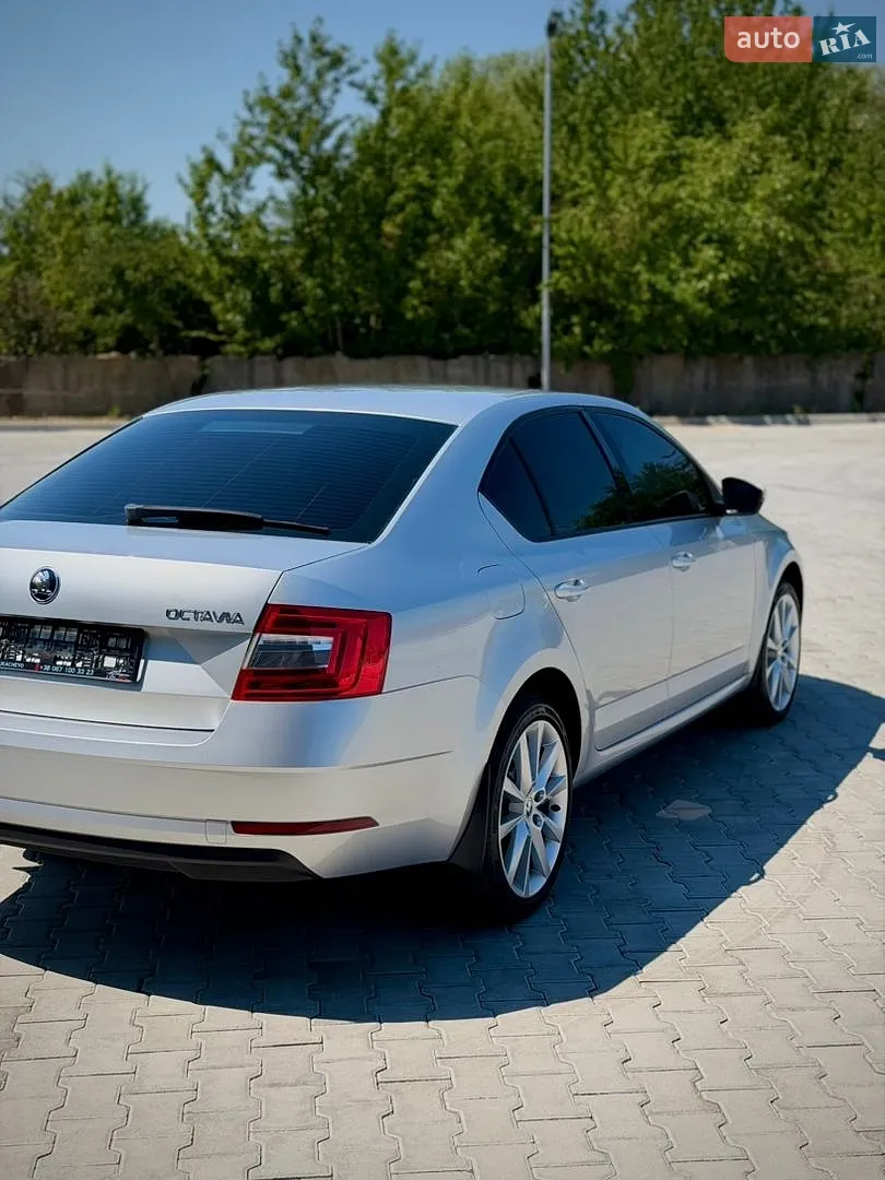 2017 Skoda Octavia - мініатюра 14