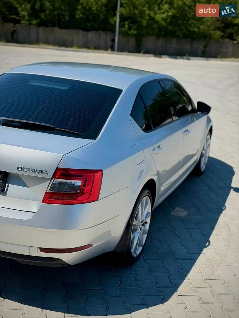 2017 Skoda Octavia - мініатюра 15