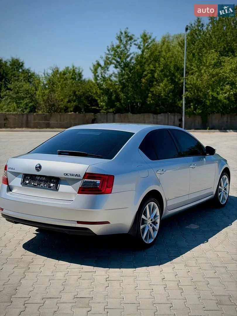 2017 Skoda Octavia - мініатюра 13