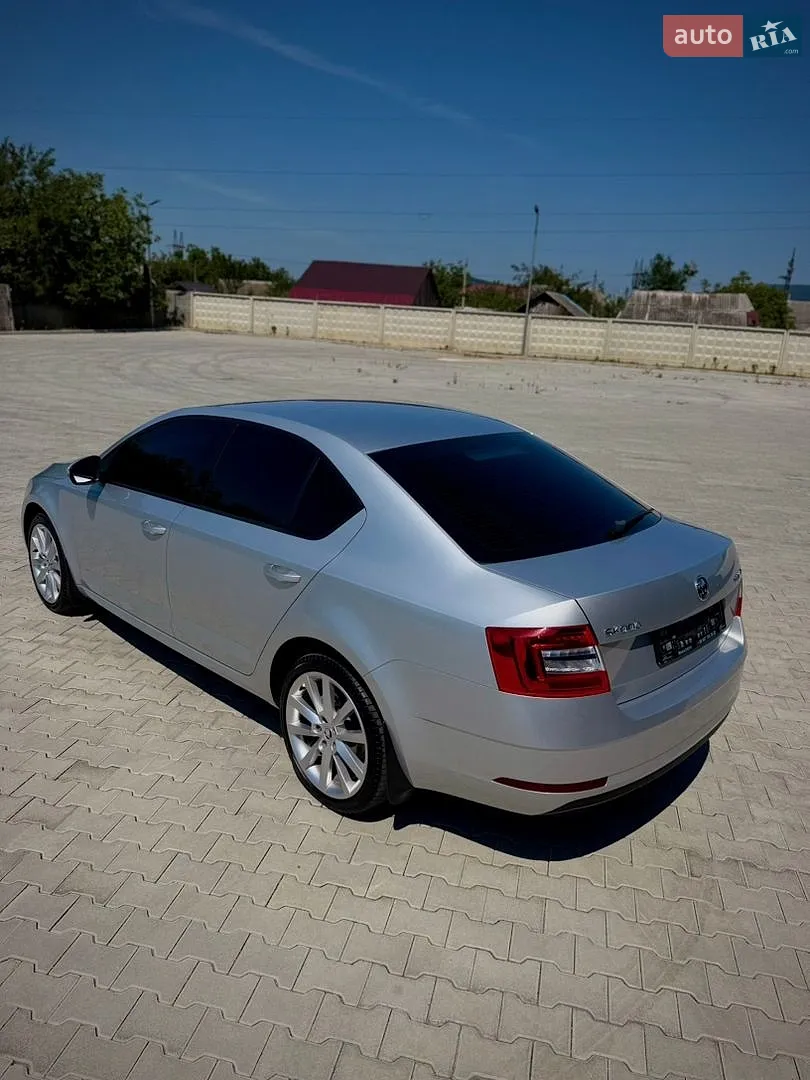 2017 Skoda Octavia - мініатюра 18