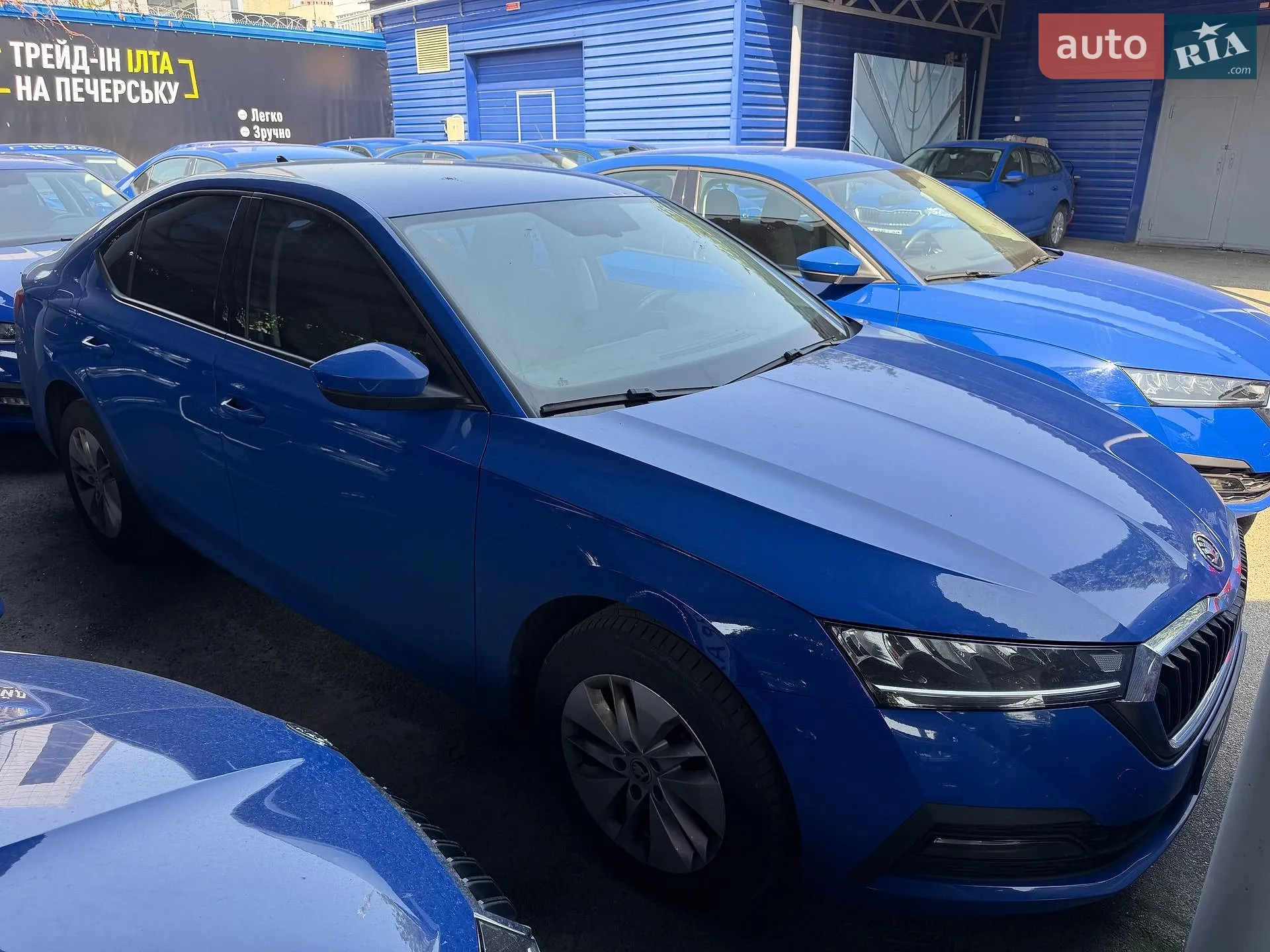 2021 Skoda Octavia - мініатюра 3
