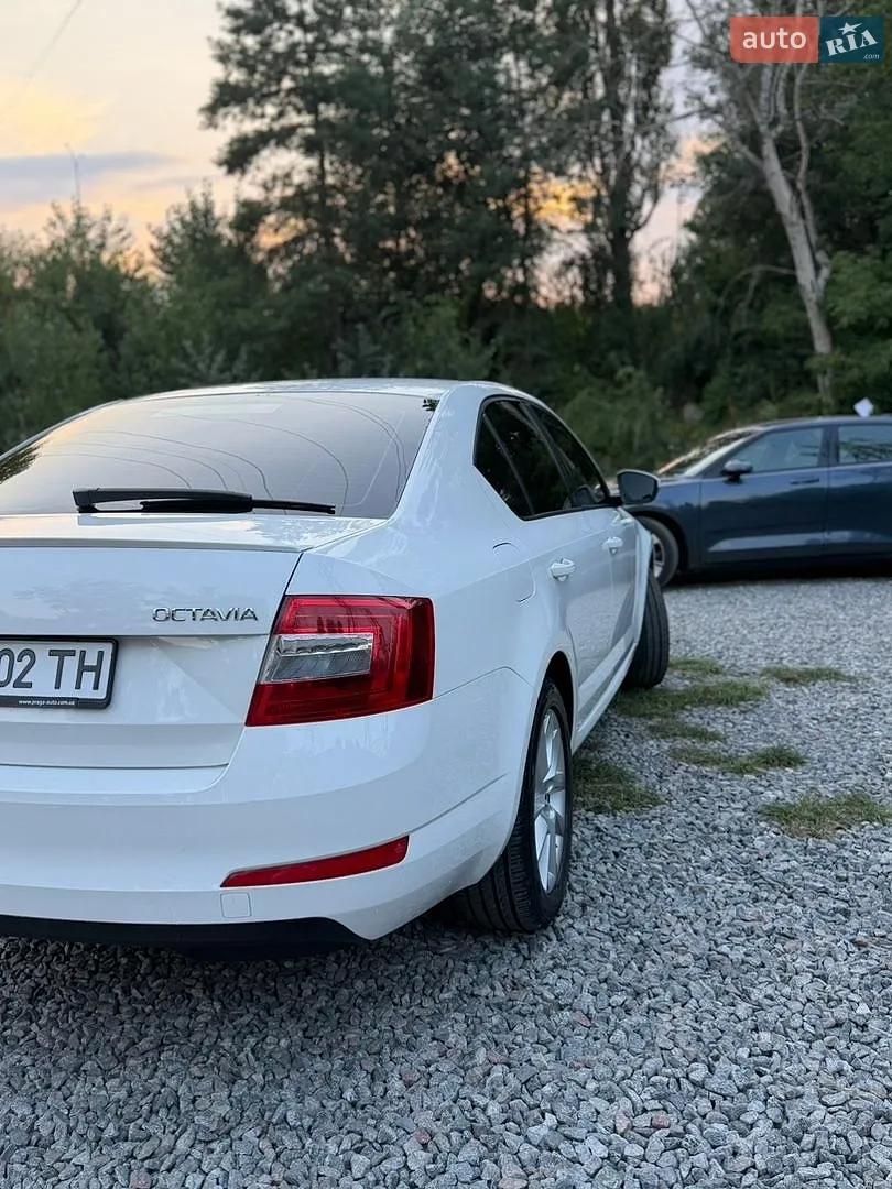2013 Skoda Octavia - мініатюра 4