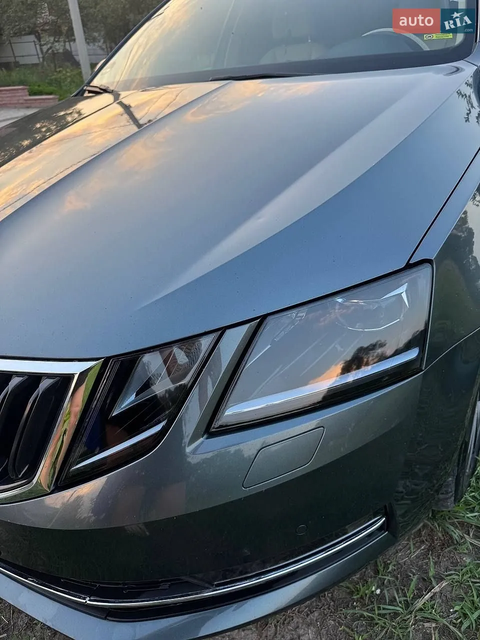2019 Skoda Octavia - мініатюра 6