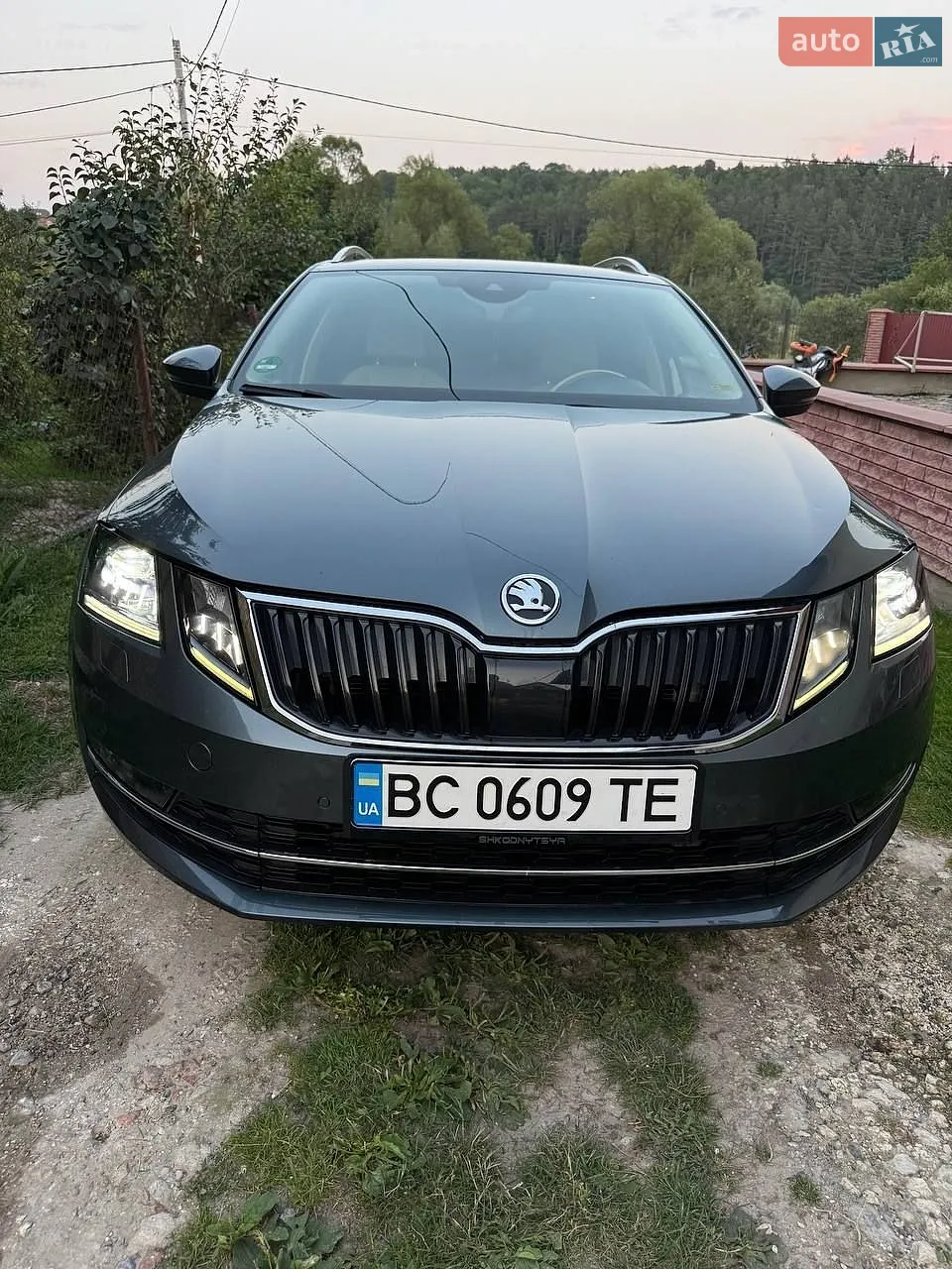2019 Skoda Octavia - мініатюра 8