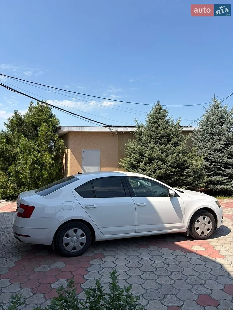 2020 Skoda Octavia - мініатюра 4
