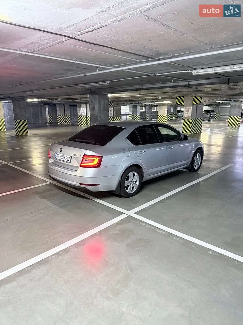 2017 Skoda Octavia - мініатюра 7