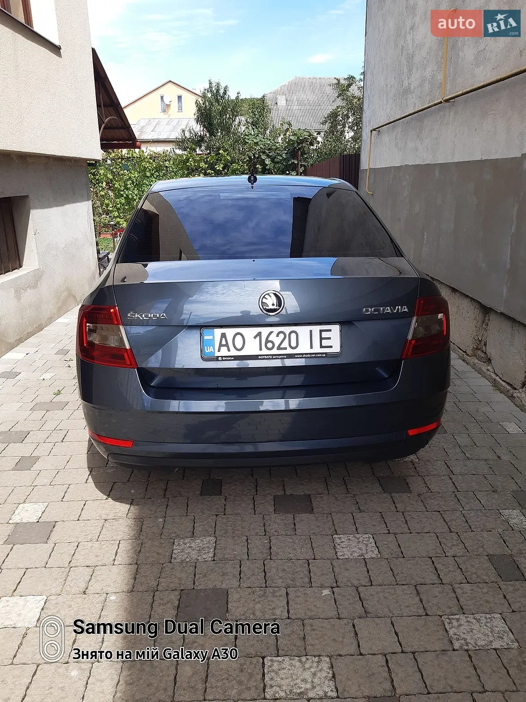 2019 Skoda Octavia - мініатюра 7