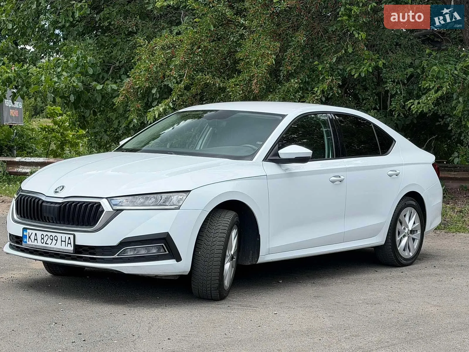 2021 Skoda Octavia - мініатюра 2