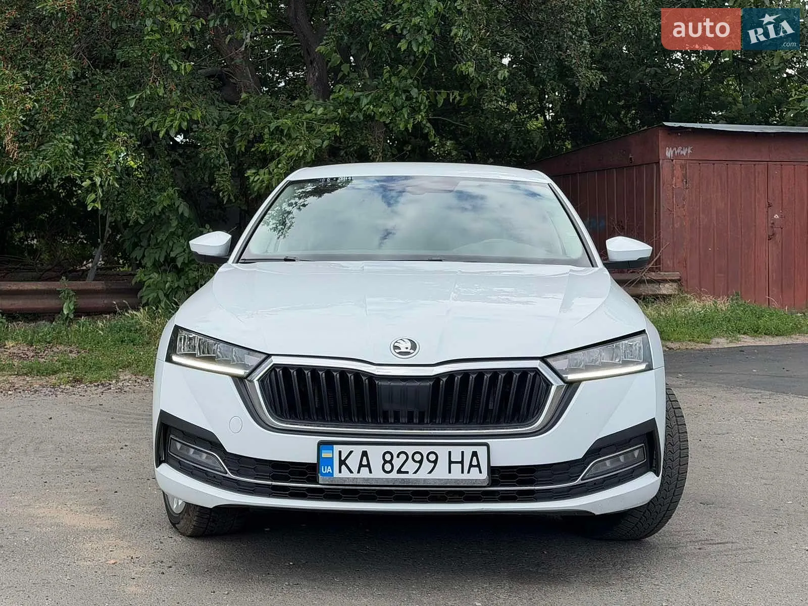 2021 Skoda Octavia - мініатюра 3