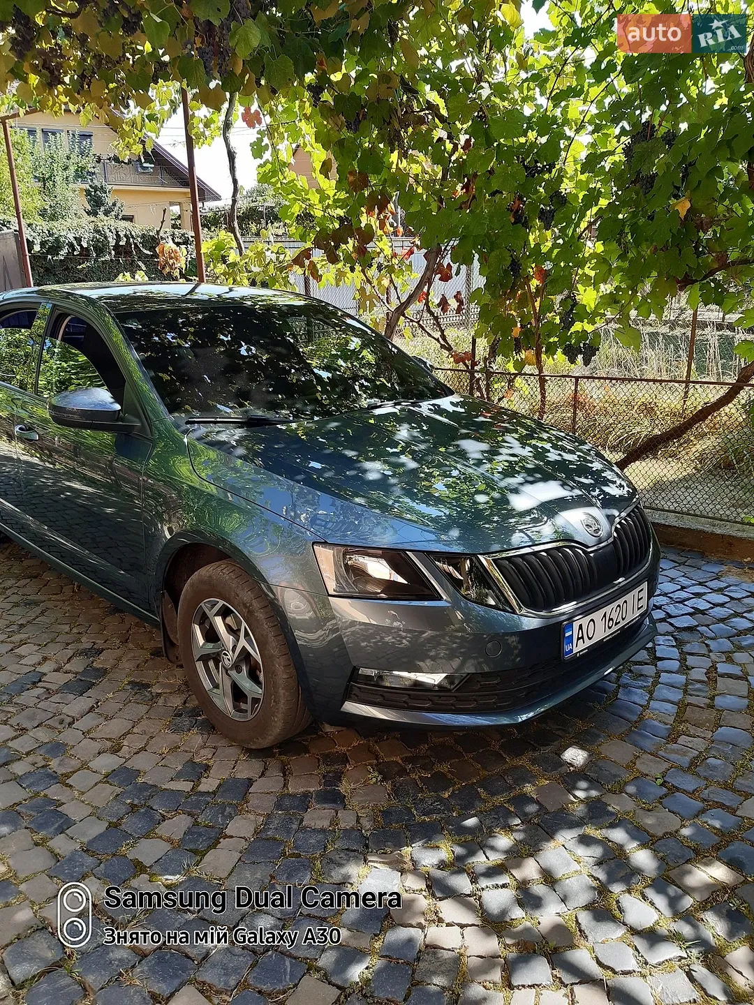 2019 Skoda Octavia - мініатюра 3