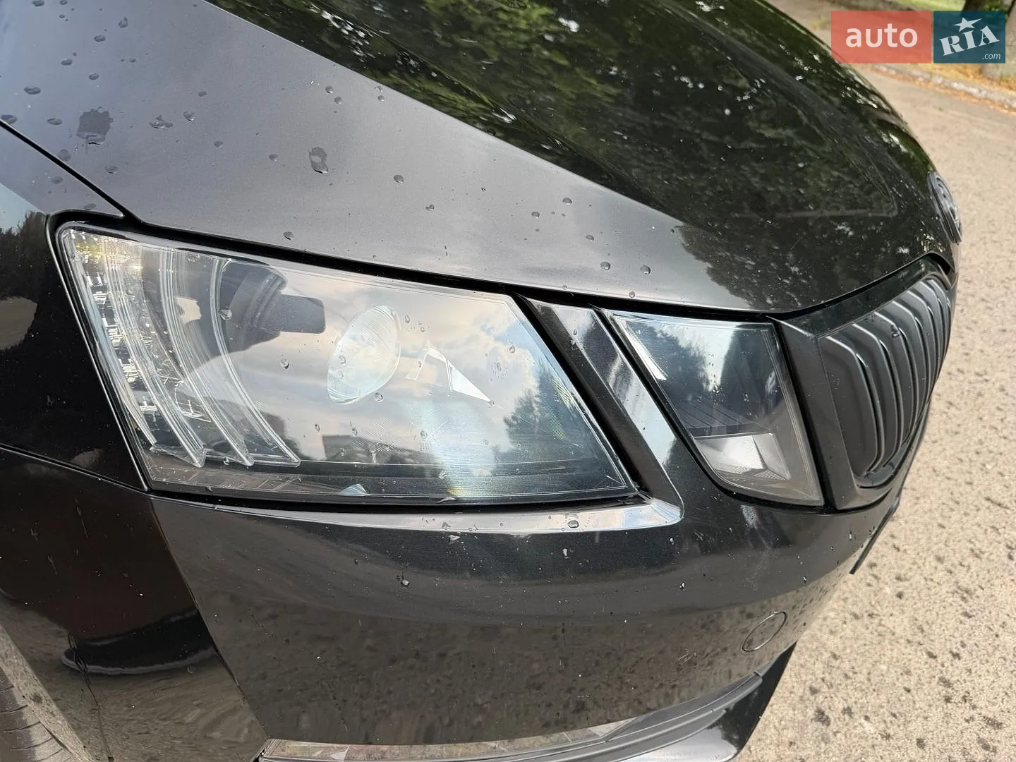 2019 Skoda Octavia - мініатюра 31