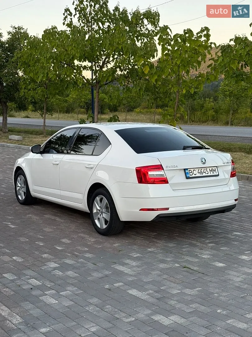 2017 Skoda Octavia - мініатюра 4